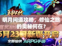 明月問道攻略，修仙之旅的奧秘何在？