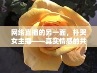 網(wǎng)絡(luò)直播的另一面，撲哭女主播——真實(shí)情感的共鳴與治愈