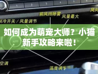 如何成為萌寵大師？小貓新手攻略來(lái)啦！