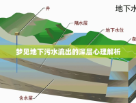 夢見地下污水流出的深層心理解析