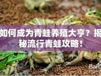 如何成為青蛙養(yǎng)殖大亨？揭秘流行青蛙攻略！
