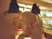 如何打造個(gè)性騎寵，馳騁神武2手游三界？