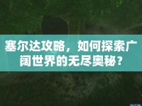 塞爾達(dá)攻略，如何探索廣闊世界的無(wú)盡奧秘？