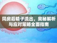同房后精子流出，奧秘解析與應(yīng)對(duì)策略全面指南