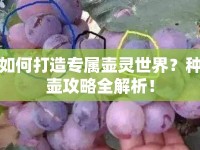 如何打造專屬壺靈世界？種壺攻略全解析！