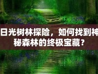 日光樹林探險，如何找到神秘森林的終極寶藏？