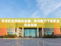 菏澤職業(yè)學(xué)院女主播，多元魅力下的職業(yè)風(fēng)采探索