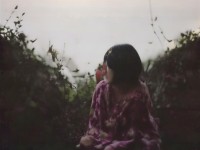 如何解鎖寵物潛能，打造夢幻手游中的專屬戰(zhàn)斗伙伴？