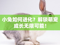 小兔如何進化？解鎖萌寵成長無限可能！