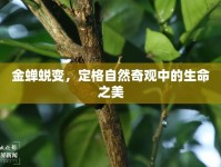 金蟬蛻變，定格自然奇觀中的生命之美