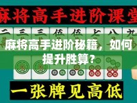 麻將高手進(jìn)階秘籍，如何提升勝算？