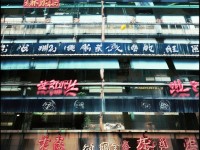 合歡派爆發(fā)力驚人？這些技能竟讓團(tuán)隊(duì)?wèi)?zhàn)力翻倍！