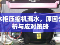 冰柜壓縮機(jī)漏水，原因分析與應(yīng)對策略