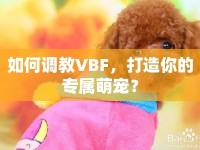如何調(diào)教VBF，打造你的專屬萌寵？