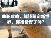 羊駝攻略，解鎖萌寵新世界，你準(zhǔn)備好了嗎？
