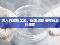 男人的激情之液，探索透明液體背后的秘密