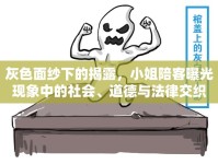 灰色面紗下的揭露，小姐陪客曝光現(xiàn)象中的社會(huì)、道德與法律交織