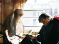 倩女手游語音失效，虛擬世界如何無聲交流？