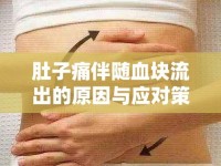 肚子痛伴隨血塊流出的原因與應(yīng)對策略，深度解析指南