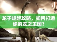 龍子崛起攻略，如何打造你的龍之王國(guó)？
