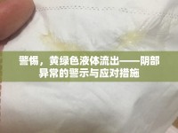 警惕，黃綠色液體流出——陰部異常的警示與應(yīng)對措施