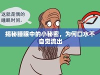 揭秘睡眠中的小秘密，為何口水不自覺流出