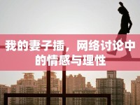 我的妻子插，網(wǎng)絡(luò)討論中的情感與理性