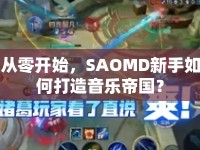 從零開始，SAOMD新手如何打造音樂帝國？