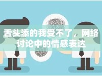 舌頭添的我受不了，網(wǎng)絡(luò)討論中的情感表達(dá)