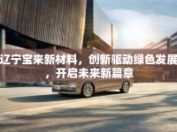 遼寧寶來新材料，創(chuàng)新驅(qū)動綠色發(fā)展，開啟未來新篇章