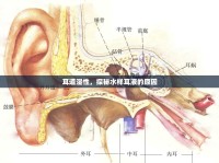 耳道濕性，探秘水樣耳液的原因