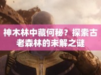 神木林中藏何秘？探索古老森林的未解之謎