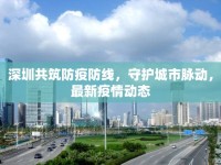 深圳共筑防疫防線，守護(hù)城市脈動(dòng)，最新疫情動(dòng)態(tài)