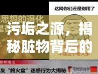 污垢之源，揭秘臟物背后的真相