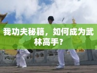 我功夫秘籍，如何成為武林高手？