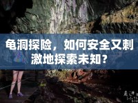 龜洞探險(xiǎn)，如何安全又刺激地探索未知？
