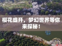 櫻花盛開，夢幻世界等你來探秘！