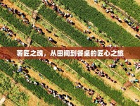 薯匠之魂，從田間到餐桌的匠心之旅