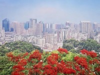 失效寶珠的奧秘，彈彈堂手游中如何再利用？