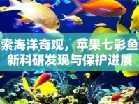 探索海洋奇觀，蘋果七彩魚最新科研發(fā)現(xiàn)與保護進展