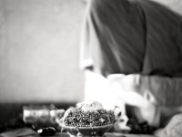 皮皮龜，網(wǎng)絡(luò)文化中的新寵兒