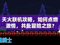 天火聯(lián)機(jī)攻略，如何點(diǎn)燃激情，共赴冒險(xiǎn)之旅？