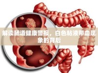 解讀腸道健康警報，白色粘液帶血現(xiàn)象的背后