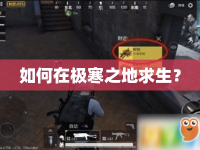 如何在極寒之地求生？