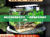 魚缸水流的奧秘與藝術(shù)，一場靜謐的生態(tài)循環(huán)之旅