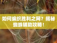 如何編織勝利之網(wǎng)？揭秘蜘蛛輔助攻略！