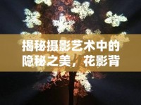 揭秘?cái)z影藝術(shù)中的隱秘之美，花影背后的藝術(shù)魅力