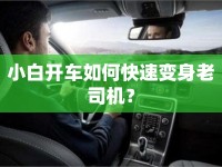 小白開車如何快速變身老司機(jī)？