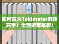 如何成為Tokimeter游戲高手？全面指南來襲！