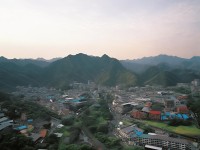 夢(mèng)幻手游老區(qū)如何高效升級(jí)，暢游三界不再是夢(mèng)？